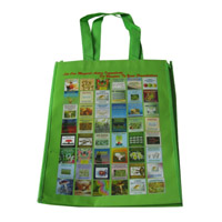 玉溪LB11覆膜无纺布广告袋